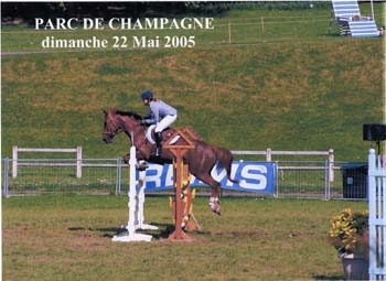 pommery 02